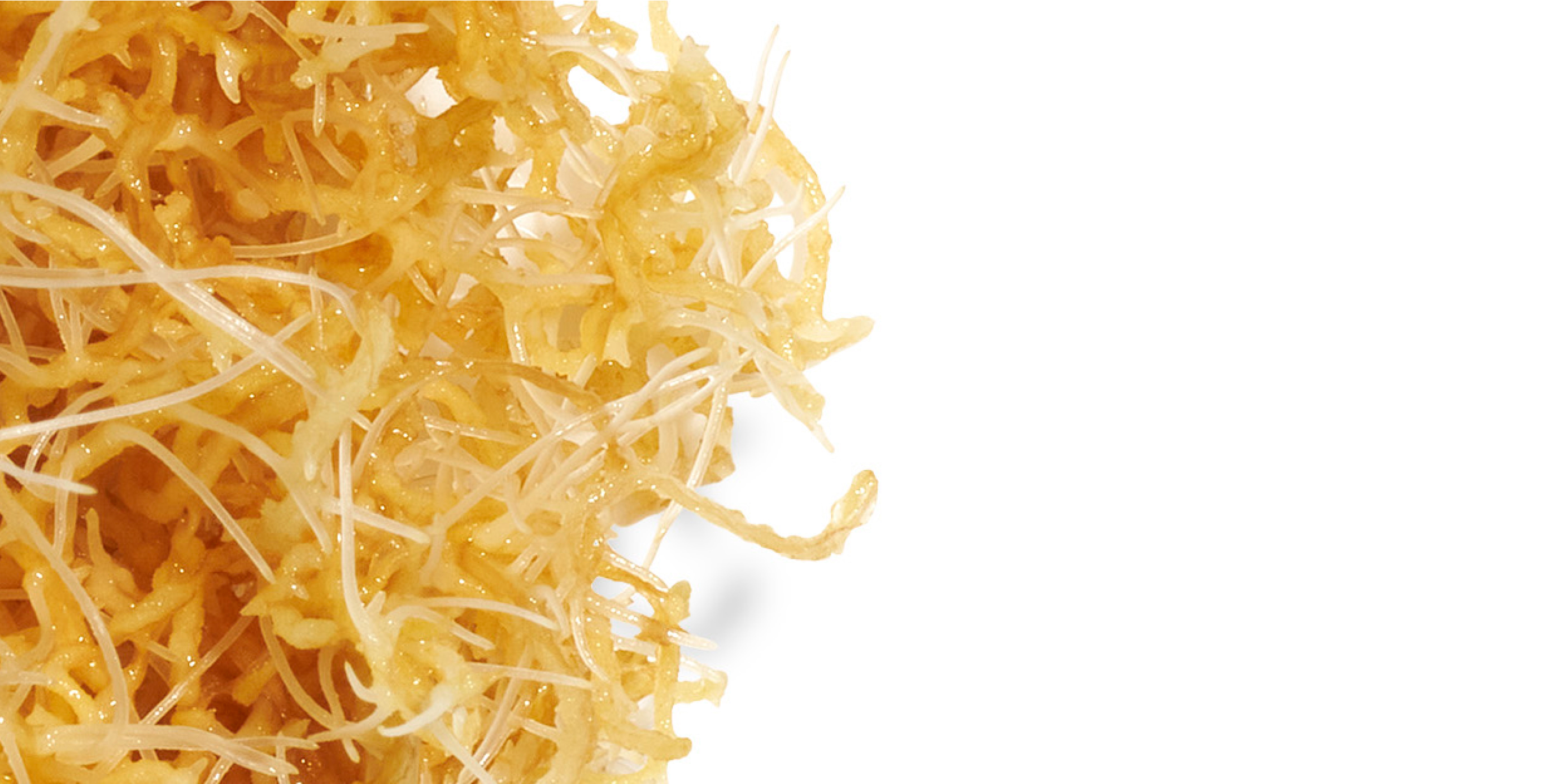 Ingredient: Chai Hu Extract