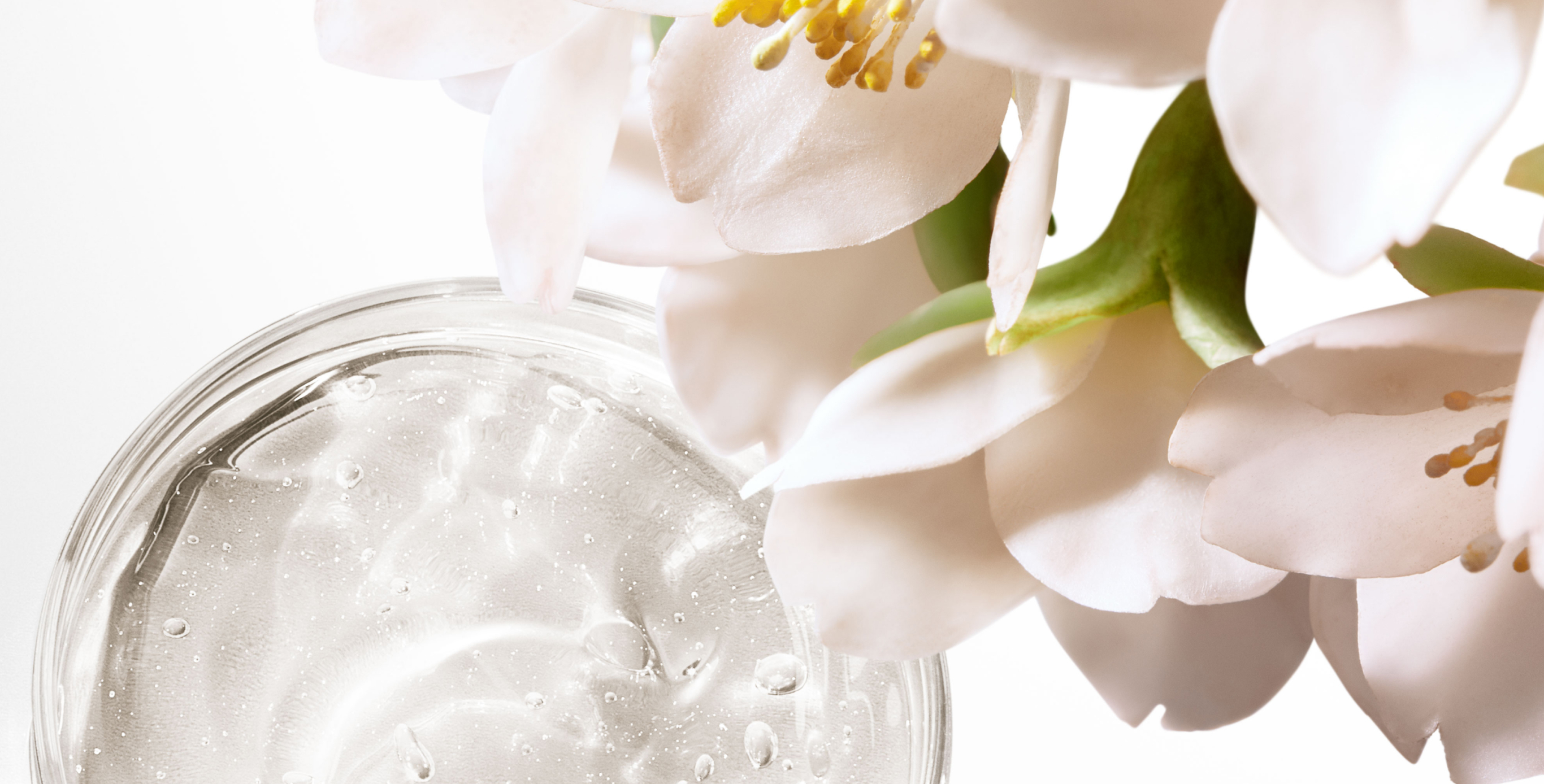 Ingredient: 4MSK and Rosa Fruit Extract