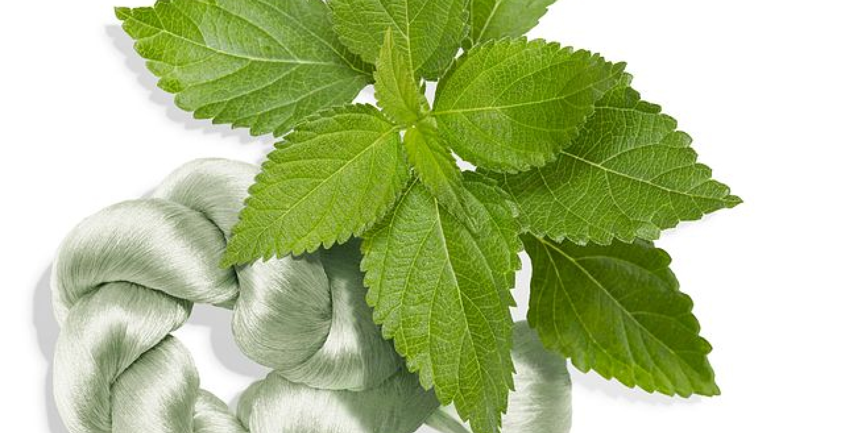 Ingredient: Legendary Enmei Complex