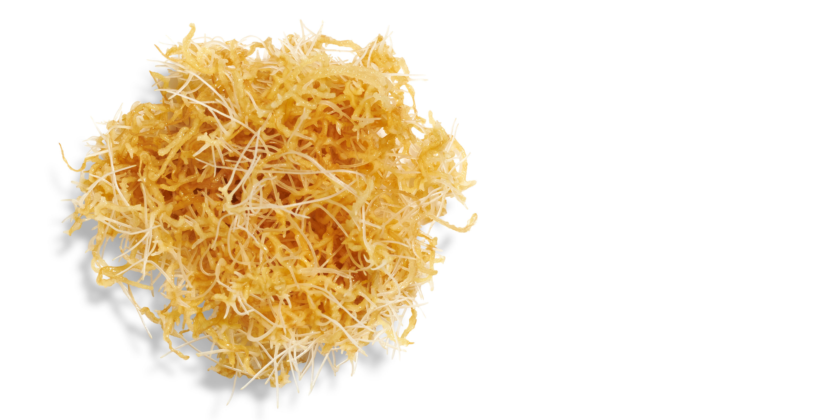 Ingredient: Akoya Pearl Shell Extract